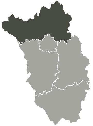 Ballyragget Electoral Area